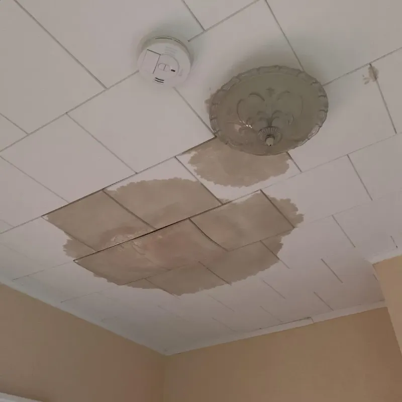 Ceiling Water Damage Repair in Clark, NJ